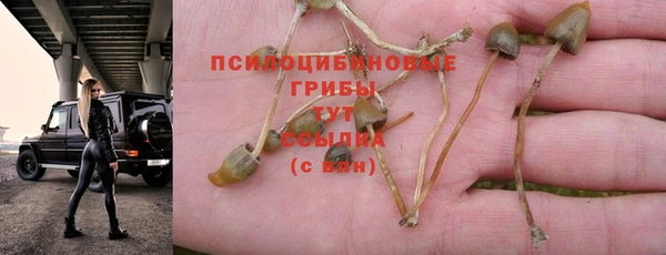амф Балабаново