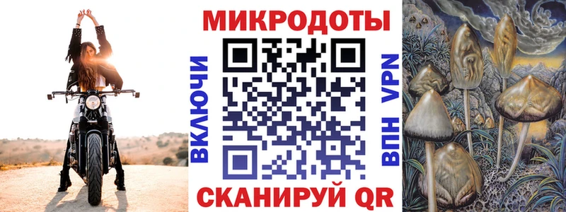 Галлюциногенные грибы Psilocybine cubensis Моршанск