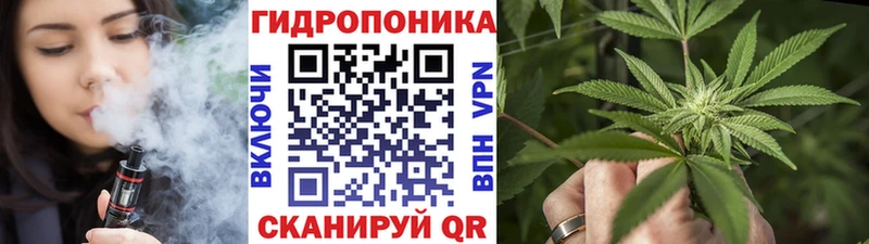 KRAKEN ТОР  купить закладку  Моршанск  Конопля Ganja 